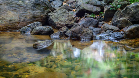 Swamp in the Beraliya tropical rainforest, surrounded by mossy rock boulders and fallen trees, and...