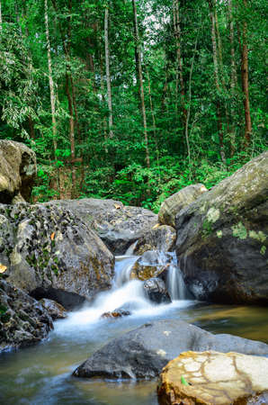 Clean and pure water streams flow through the rock boulders in Beraliya tropical rainforest. Peaceful natural scenery landscape shot.の写真素材