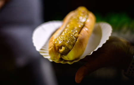 Whiskered tern hovering above the freshwater surface hunting for small fish in the lake.の写真素材