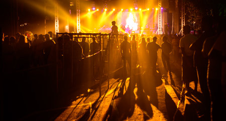 Silhouetted backlit Crowd at the night musical show.