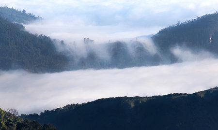 Beautiful misty cloud rainfall, falling down from the high mountain valleys,の写真素材