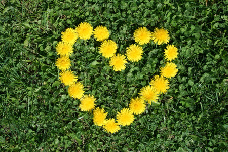 Floral Heartの写真素材