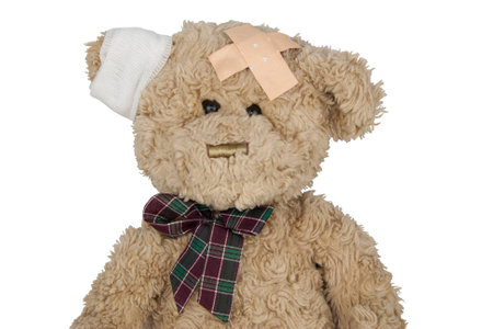 teddy cutの写真素材