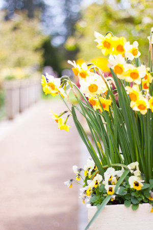 Easter bells against blurred backgroundの写真素材