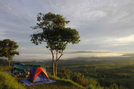 Travel tent under the tree Travel tent under the tree