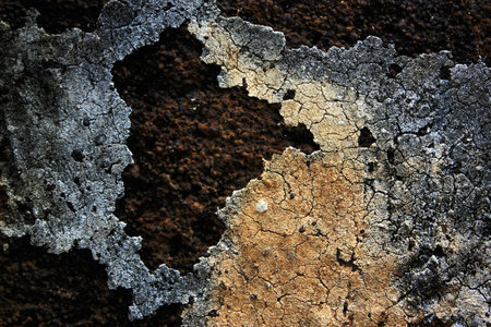 abstractの写真素材