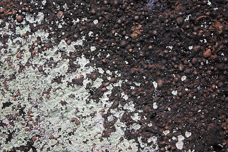 abstractの写真素材