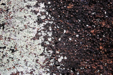 abstractの写真素材