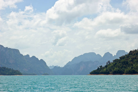 Dam in the forestの写真素材