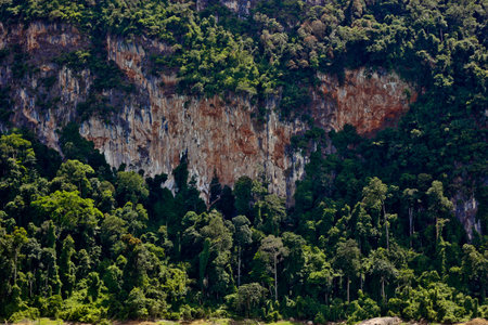 Green forest Fertileの写真素材