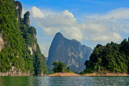 Green forest Fertileの写真素材