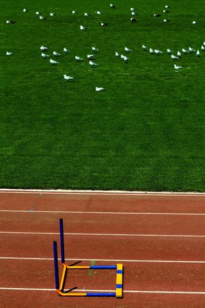 image of a fallen hurdle, symbol of a finished race