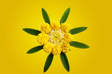 Marigold Flower rangoli Design with green leaf for traditional Festival.