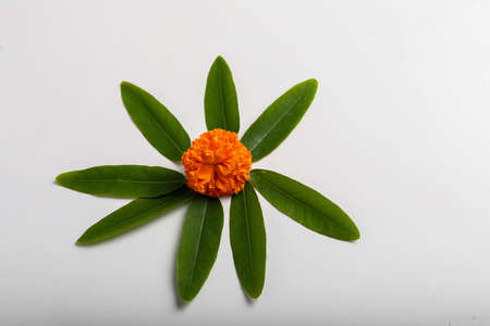 Marigold Flower rangoli Design with green leaf for traditional Festival.の写真素材