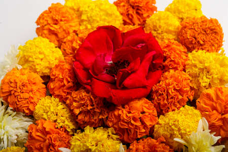 Marigold Flower rangoli Design for Diwali Festival , Indian Festival flower decorationの写真素材