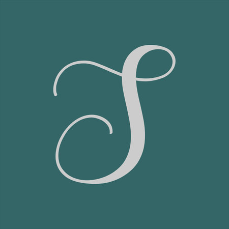 Hand drawn alphabet S Letterのイラスト素材