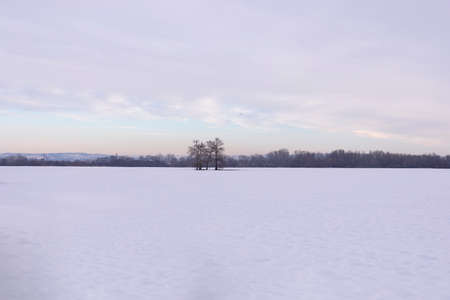 Snowy landscape with distant treesの写真素材