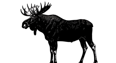 A striking black silhouette of a large moose with impressive antlers, depicted in a detailed, textured style.の素材
