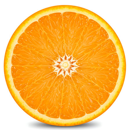 Nutritious Orange Detail Food Photographyの素材