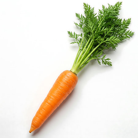 Fresh Organic Carrots with Leavesの素材