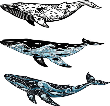 A triptych of whale illustrations, featuring a detailed sketch, a watercolor-style depiction, and a textured, layered artwork.のイラスト素材