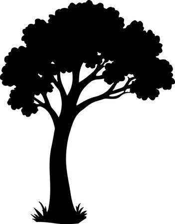 A striking black silhouette of a mature tree with a thick trunk and expansive, leafy branches against a white background.のイラスト素材