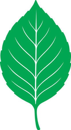 A stylized, bright green leaf with a distinct heart shape and a central vein with radiating lines.のイラスト素材