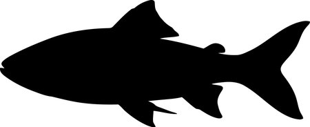 Fish silhouette. Vector illustration isolated on white background for graphic and web design.のイラスト素材