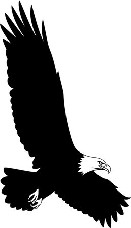 Eagle.Black and white vector illustration ready for vinyl cutting.のイラスト素材