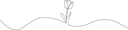 An elegant decorative element featuring a delicate tulip and flowing wavy lines, creating a subtle and artistic border or divider, presented cleanly on a white background.のイラスト素材