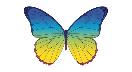 butterfly icon over white background. colorful design. vector illustrationの素材