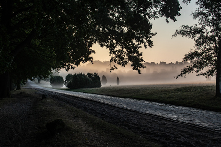 Historical road at sunrise near the village of Wilsede in the Lueneburger Heide, Germanyの写真素材