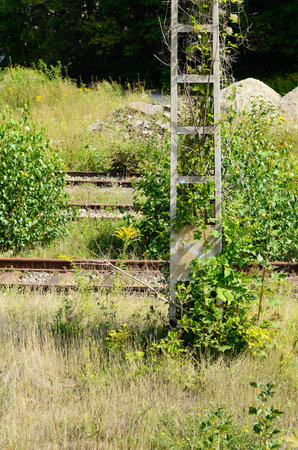 overgrown train rails of the Augsburg Central Stationの写真素材
