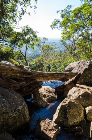 Cameron Falls waterfall on Mt Tamborine, in the Gold Coast hinterland in Australia.の写真素材