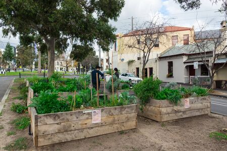 Melbourne, Australia - June 9, 2019: community garden in Courtney Street in North Melbourne. The garden is in the centre median strip of the street.のeditorial素材