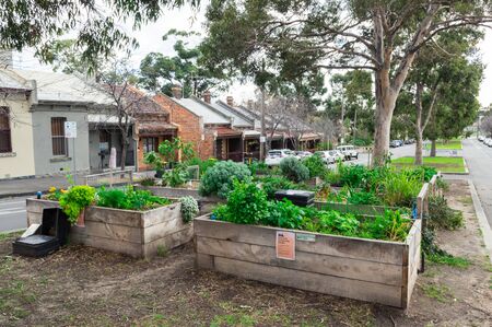 Melbourne, Australia - June 9, 2019: community garden in Courtney Street in North Melbourne. The garden is in the centre median strip of the street.のeditorial素材