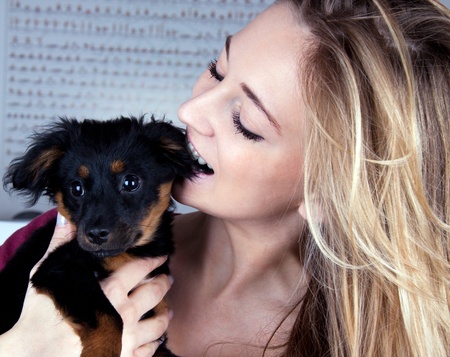 young beatiful girl with a cute little dog having funの写真素材
