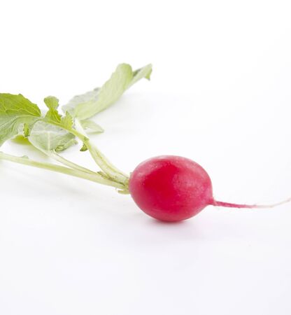 fresh red ripe radish isolated on white backgroundの写真素材