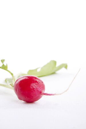fresh red ripe radish isolated on white backgroundの写真素材