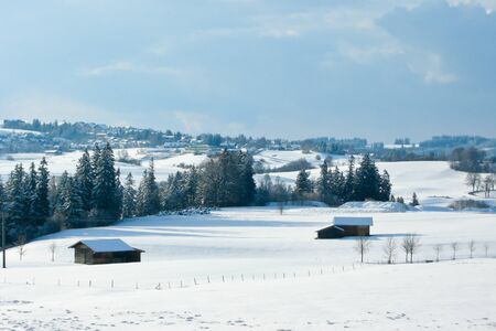 trees forest snow in winter landscape backgroundの写真素材