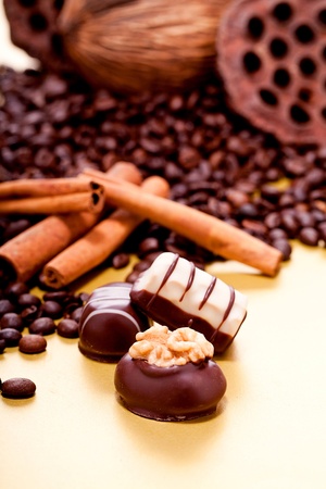 collection of different chocolate pralines truffels on golden brown background macroの写真素材