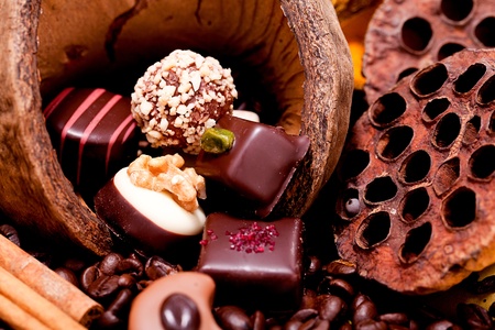collection of different chocolate pralines truffels on golden brown background macro