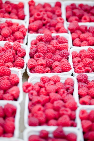 fresh tasty pink raspberry closeup macro on market outdoor summerの写真素材