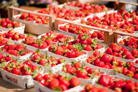 sweet tasty ripe strawberry collection background macro の写真素材