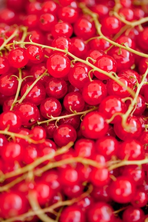 fresh tasty red currant berries macro closeup on market outdoor summerの写真素材