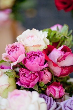 beautiful colorful collection of flowers spring summer celebration card macroの写真素材