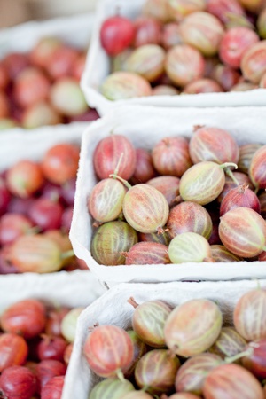 fresh tasty gooseberries macro closeup on market outdoor summerの写真素材