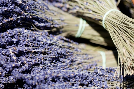  fresh aromatic lavender in basket macro outdoor on market summer の写真素材