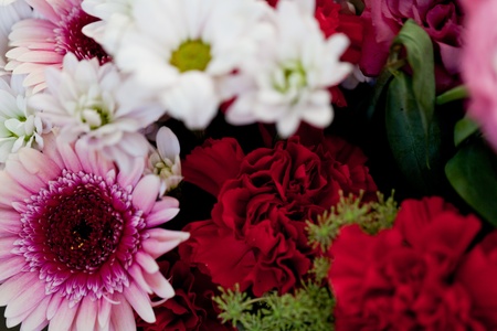 beautiful colorful collection of flowers spring summer celebration card macroの写真素材