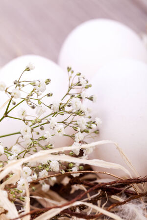 Three plain white undecorated Easter eggs nestling in a straw nest with a delicate dainty spray of Babys Breath flowers to celebrate springtime and the Easter holidayの写真素材